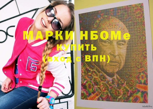 индика Алзамай