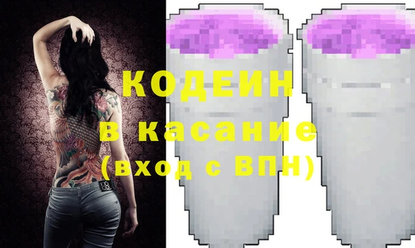индика Алзамай