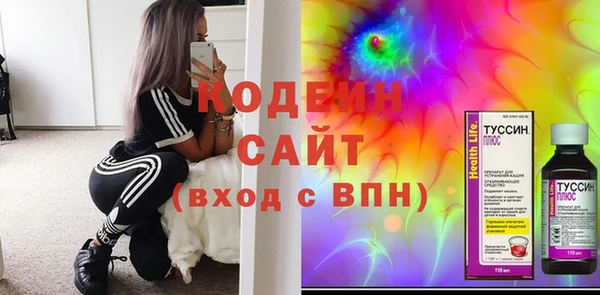 индика Алзамай