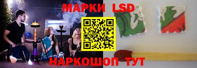 стаф Сланцы
