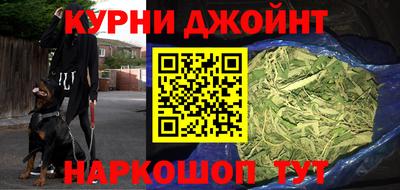 стаф Сланцы