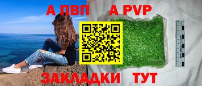 стаф Сланцы