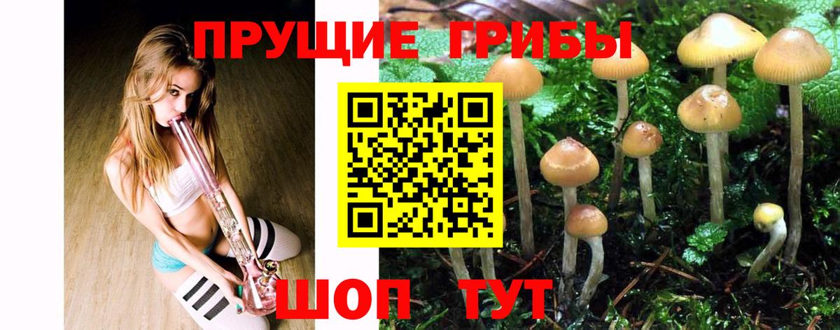 где купить наркоту  Псилоцибиновые грибы Psilocybine cubensis  Вход с VPN  Уссурийск 